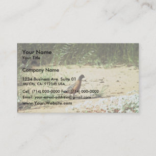 Maskerad Bobwhite Visitkort