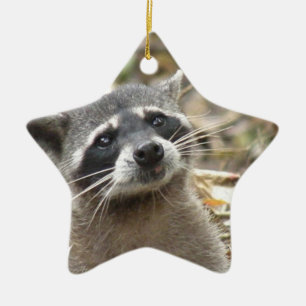 Maskerad Raccoonprydnad Julgransprydnad Keramik
