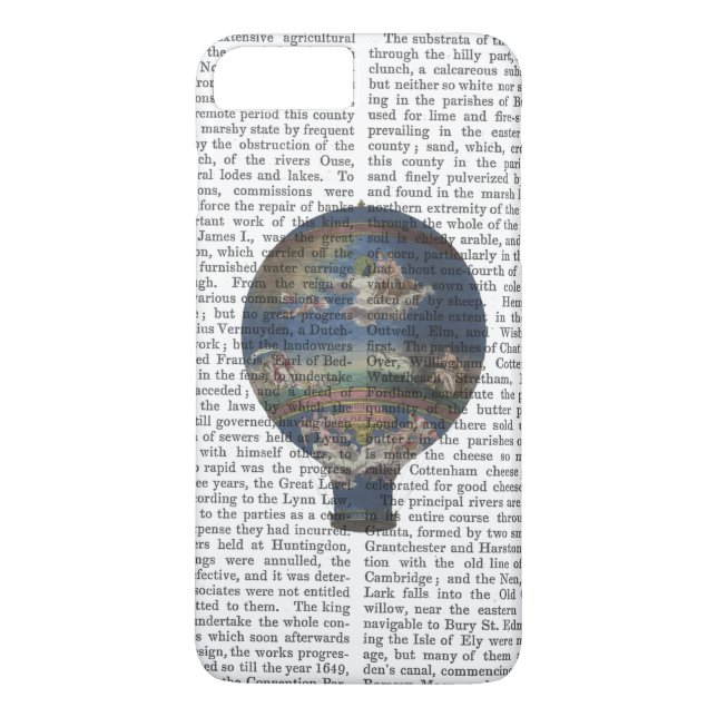 Maskin Aerostatique Luftballong Case-Mate iPhone Skal (Baksida)