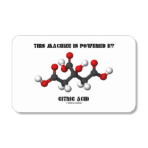 Maskin drivs av citronsyrakemi
