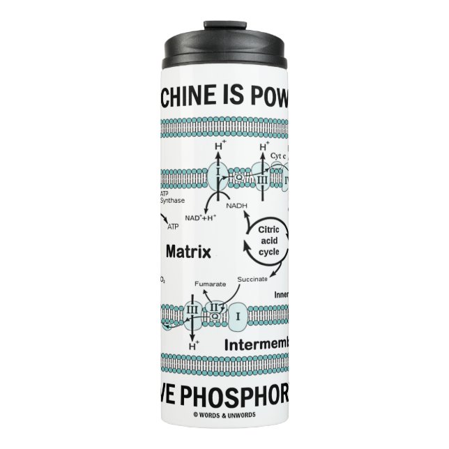 Maskin som drivs av oxidativ fosforylering (Framsida)