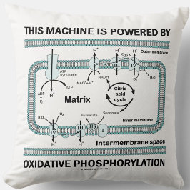 Maskin som drivs av oxidativ fosforylering kudde