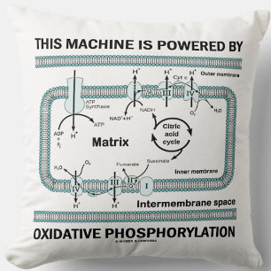 Maskin som drivs av oxidativ fosforylering kudde