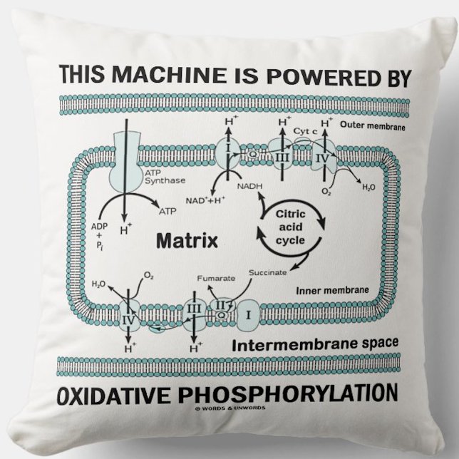 Maskin som drivs av oxidativ fosforylering kudde (Throw pillow for anyone powered by oxidative phosphorylation (& that means you))