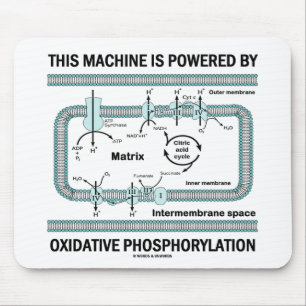 Maskin som drivs av oxidativ fosforylering musmatta