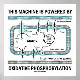 Maskin som drivs av oxidativ fosforylering poster