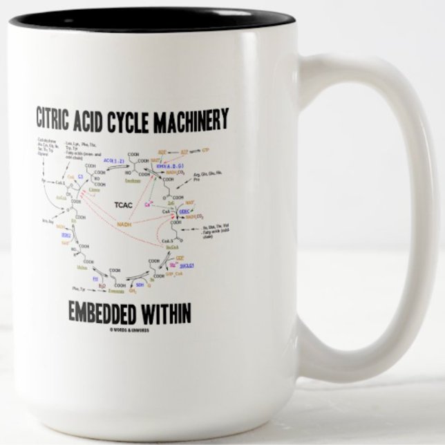 Maskiner för citronsyra inbäddade i distrikt Två-Tonad mugg (Krebs cycle attitude mug for anyone with "Citric Acid Cycle Machinery Embedded Within")