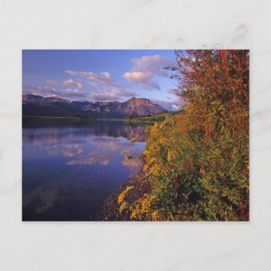 Maskinonge Lake i Waterton Lakes nationalpark 2 Vykort