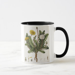 Maskros (färggravyr) mugg