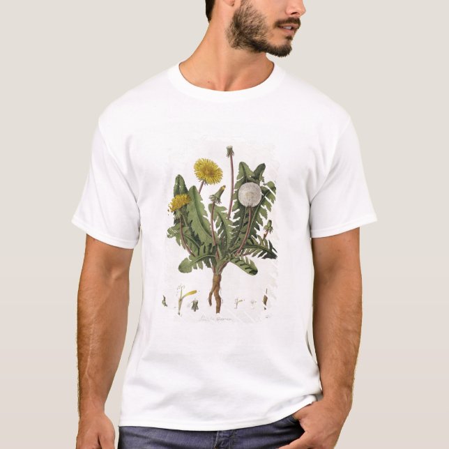 Maskros (färggravyr) tee shirt (Framsida)