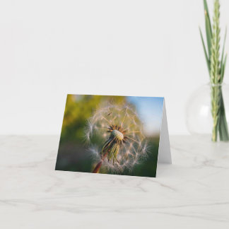 Maskros Fluffball Notecard Kort