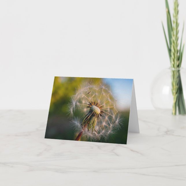 Maskros Fluffball Notecard Kort (Framsida)