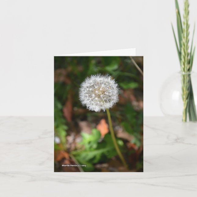 Maskros Kort (Framsida)