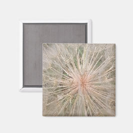 Maskros Närbild Magnet