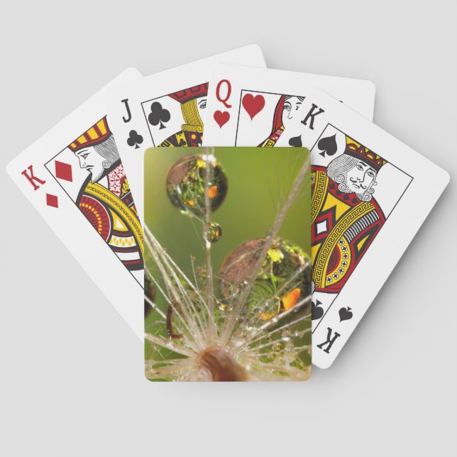 Maskros och vattendroppar casinokort (Baksidan)