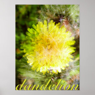 Maskros Poster