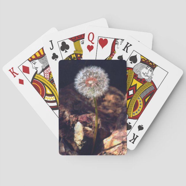 Maskros Spel Kort (Baksidan)