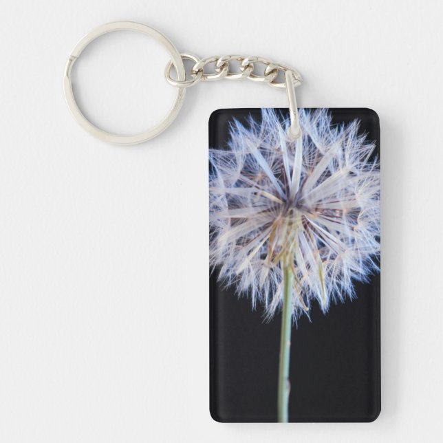 Maskros (Taraxacum Officinale) frö huvud (Framsidan)