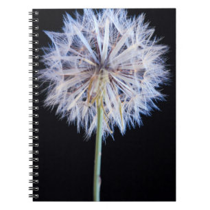 Maskros (Taraxacum Officinale) frö huvud Anteckningsbok