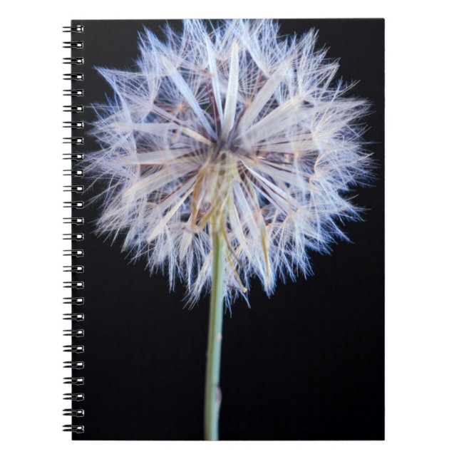 Maskros (Taraxacum Officinale) frö huvud Anteckningsbok (Framsidan)