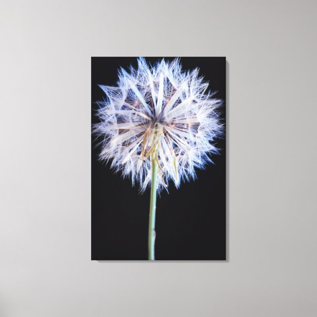 Maskros (Taraxacum Officinale) frö huvud Canvastryck (Framsida)