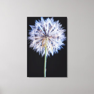 Maskros (Taraxacum Officinale) frö huvud Canvastryck