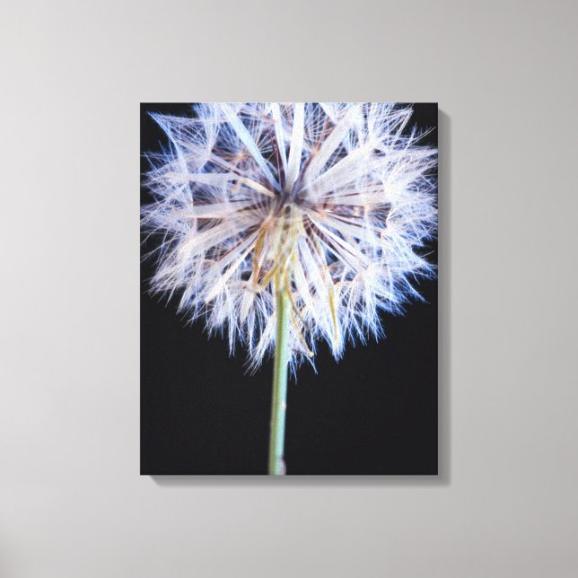 Maskros (Taraxacum Officinale) frö huvud Canvastryck (Framsida)