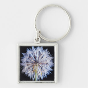 Maskros (Taraxacum Officinale) frö huvud Fyrkantig Silverfärgad Nyckelring