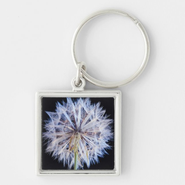 Maskros (Taraxacum Officinale) frö huvud Fyrkantig Silverfärgad Nyckelring (Framsidan)