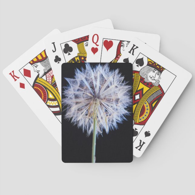 Maskros (Taraxacum Officinale) frö huvud Kortlek (Baksidan)