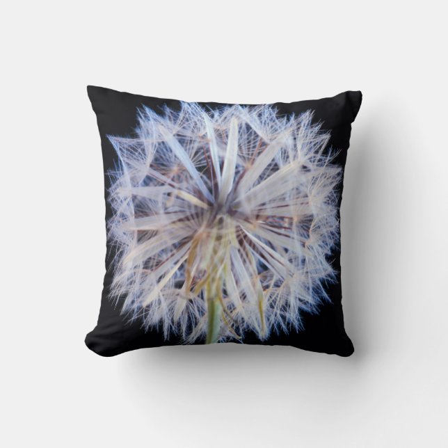 Maskros (Taraxacum Officinale) Frö huvud Kudde (Framsida)