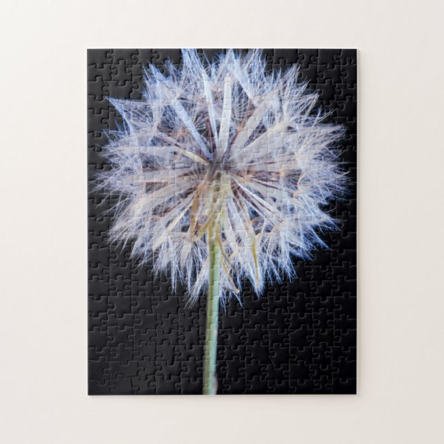 Maskros (Taraxacum Officinale) frö huvud Pussel (Vertikal)