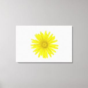 Maskrosblomma (Taraxacumofficinale), en composi Canvastryck