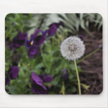 Maskrosen & pansiesmusen vadderar