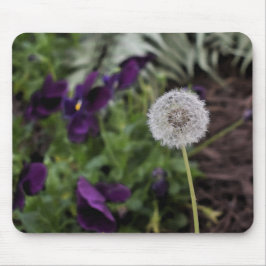 Maskrosen & pansiesmusen vadderar musmatta