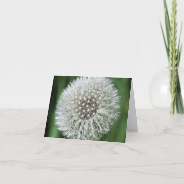 Maskrosfluff blomfotografering  anteckningskort (Framsida)