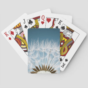 Maskrosfrö Casinokort