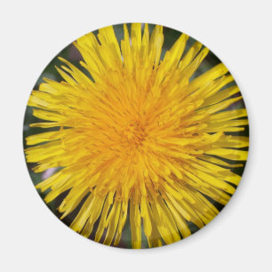Maskroskylmagnet Magnet