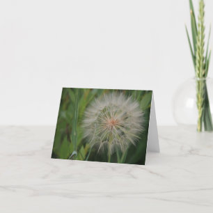 Maskrosnotecards Kort