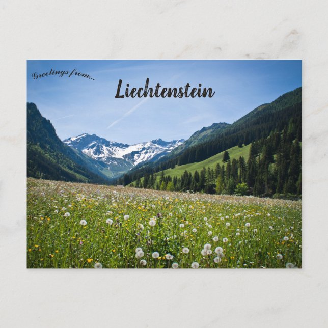 Maskrosor i Steg Liechtenstein Vykort (Framsida)