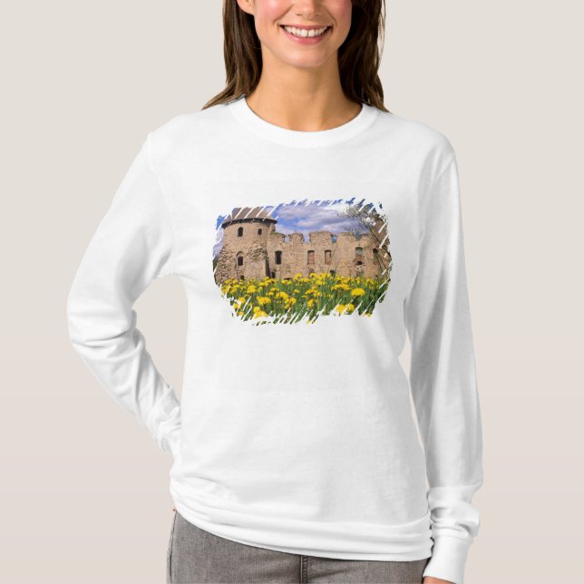 Maskrosor omger Cesis slott i centrala Tee Shirt (Framsida)