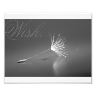 MaskrosWishfoto Fototryck