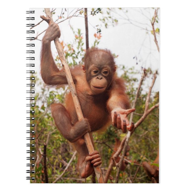 Masonorangutanen - låna mig en räcka anteckningsbok med spiral (Framsidan)