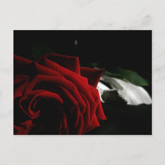 Masquerad Vykort (Framsida)