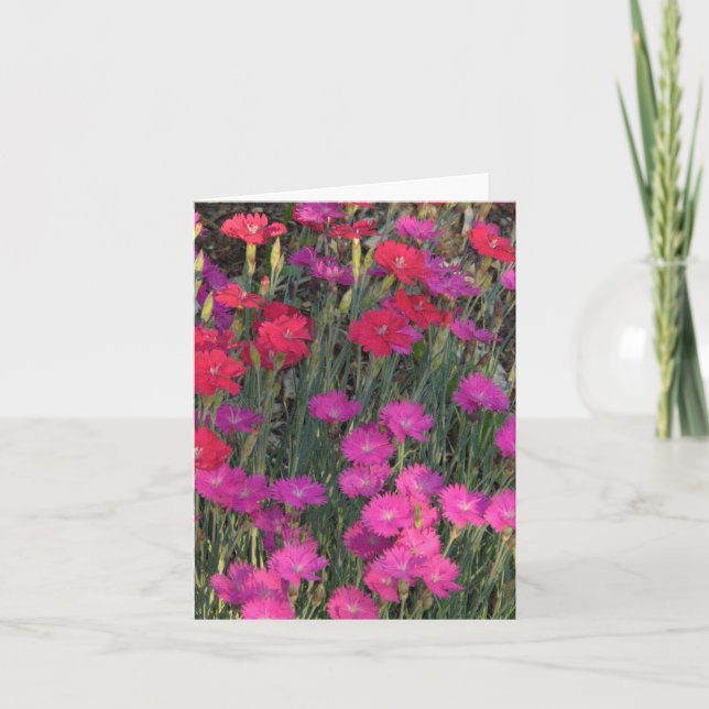 MASSA AV ROSA OCH RÖDA BLOMMOR KORT (Framsida)
