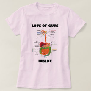 Massa insida (matsmältningssystem) tee