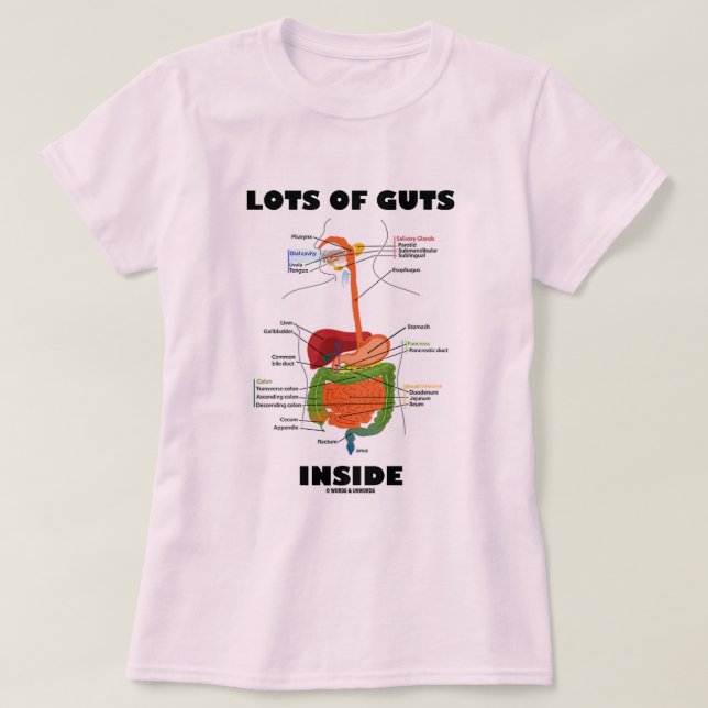 Massa insida (matsmältningssystem) tee (Design framsida)