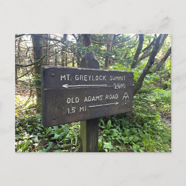 Massachusetts Appalachian Trail Vykort (Framsida)