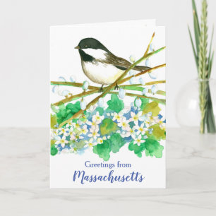 Massachusetts Chickadee Bird State Hälsning Kort