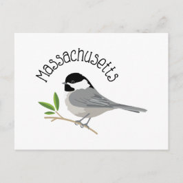 Massachusetts Chickadee Vykort